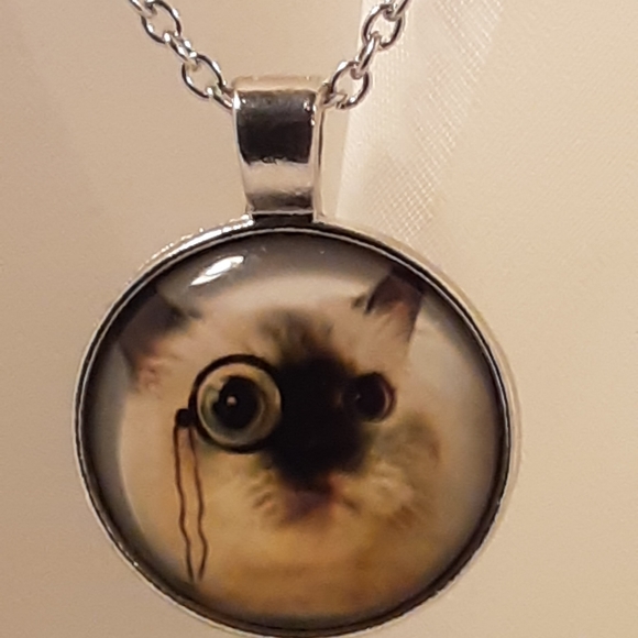 (G25) Cat with Specs Necklace 1" Silver Cabochon glass dome 16" chain - Picture 3 of 4